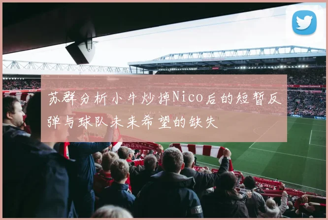 苏群分析小牛炒掉Nico后的短暂反弹与球队未来希望的缺失